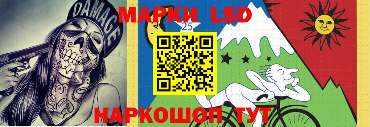 Псилоцибиновые грибы Невинномысск