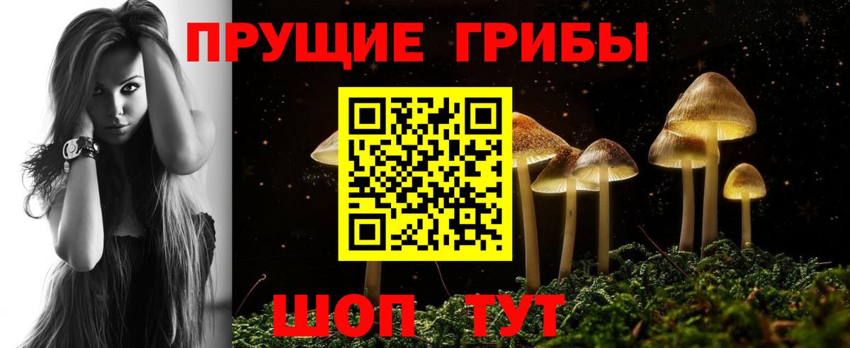 Невинномысск  Псилоцибиновые грибы Cubensis  Вход с VPN 